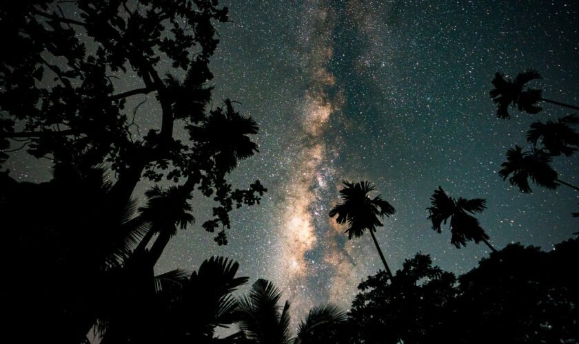 The Perseid meteor shower over Sri Lanka in 2023. File pic: Reuters/Thilina Kaluthotage/Cover Images