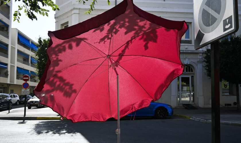 Vague de chaleur : «Le cerveau perd des facultés de décision au-delà de 30 °C»