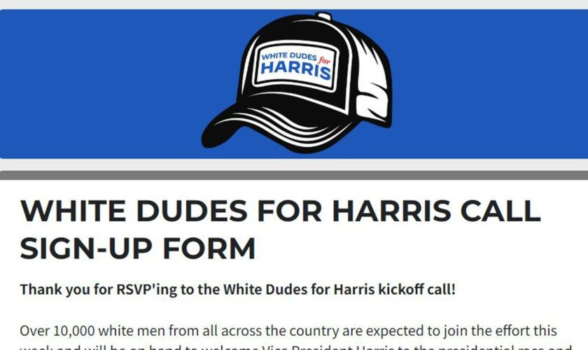 ‘White Dudes for Harris’ virtual meeting roasted online: ‘Most Beta gathering in history’