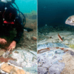 Archaeologists discover underwater mosaic believed to date back to Roman Empire