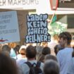 Demo in Marburg: Tausende protestieren gegen Rechtsextremisten Sellner