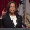 Harris campaign dismisses critics of ‘segregation’ fundraising effort