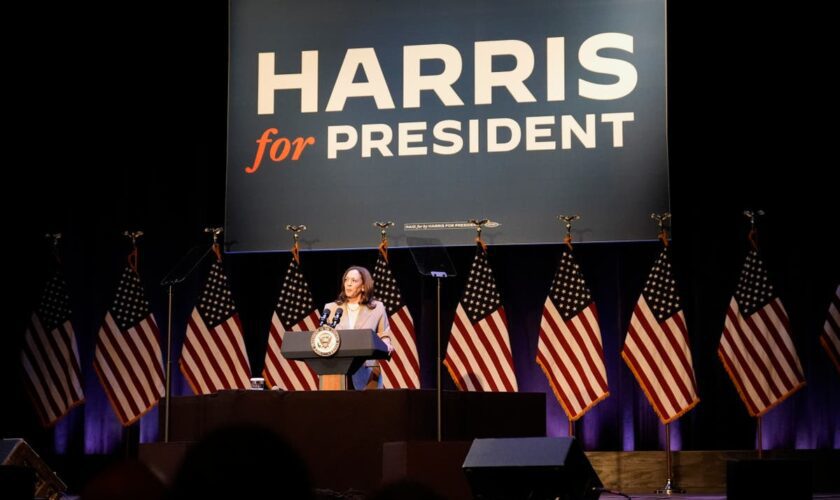 Josh Groban, Pete Buttigieg, Roy Cooper and Jeff Bridges show up at White Dudes for Harris Zoom