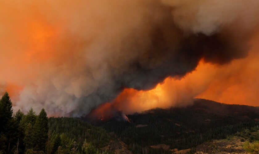 EN IMAGES - Les flammes du «Park Fire» consument la Californie