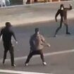 Shocking moment youths wielding MACHETES fight outside Southend theme park: Dozens of seafront visitors flee in panic as police arrest six over terrifying violence