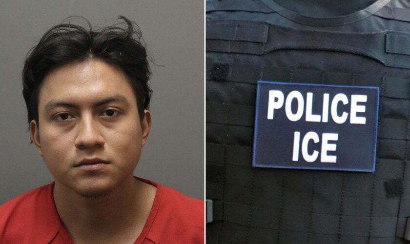 Illegal immigrant accused of running over grandmother in fatal Virginia carjacking