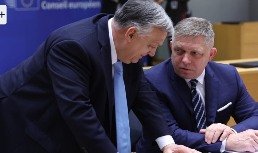 Ölstreit und Ukrainepolitik: Orbán und Fico irritieren ihre EU- und NATO-Partner