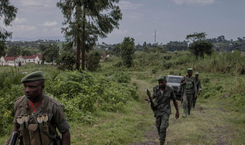 Rébellion du M23 en RD Congo : un cessez-le-feu conclu entre Kinshasa et Kigali