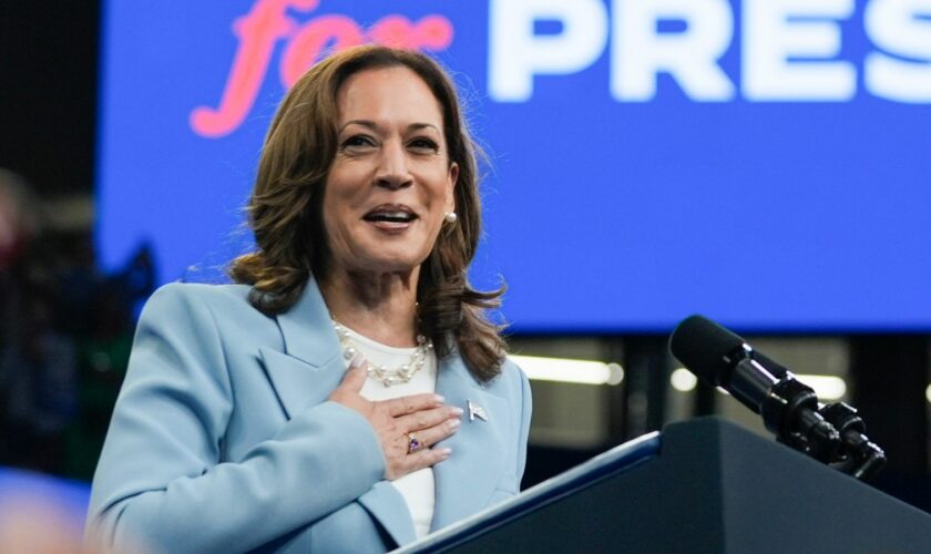 Kamala Harris during a campaign rally in Atlanta. Pic: AP