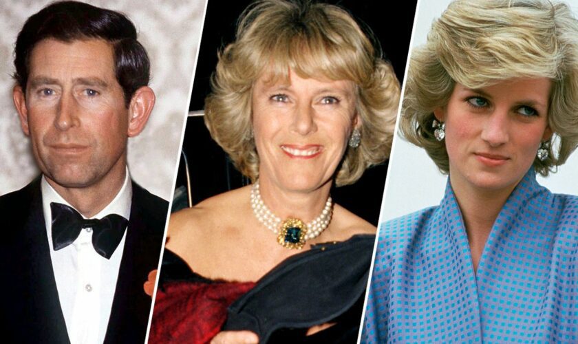 King Charles, Princess Diana 'in mortal combat' over Camilla before developing 'lasting affection': author