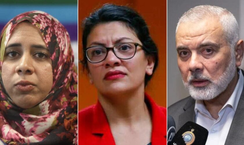 Tlaib ally mourns assassination of top Hamas leader: 'His martyrdom is not in vain'