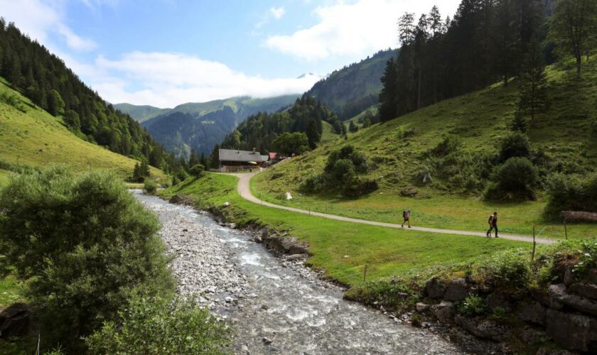 „Tonnenschwerer“ Fels stürzt auf Wanderweg – Mensch tot geborgen