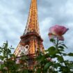 À la faveur des JO de Paris, le Champ de Mars enfin débarrassé de ses vendeurs à la sauvette et joueurs de bonneteau