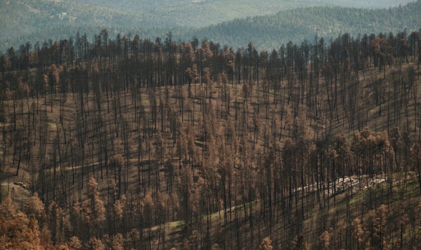 A post-fire ‘nightmare’ in New Mexico: Eight floods in four weeks