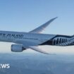 Air NZ becomes first big carrier to drop climate goal