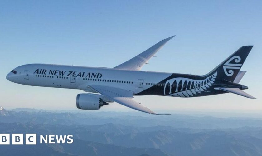 Air NZ becomes first big carrier to drop climate goal