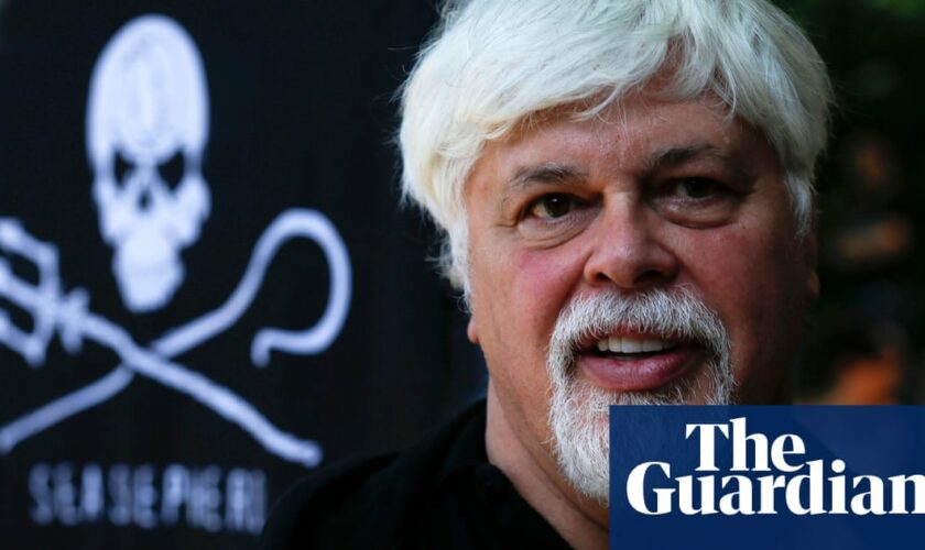 Anti-whaling activist Paul Watson could face up to 15 years’ prison in Japan if convicted