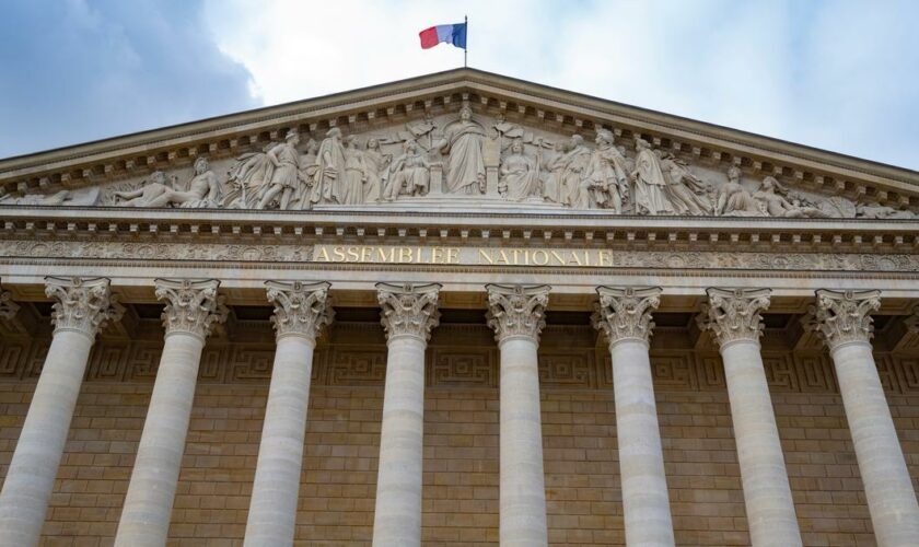 Assemblée nationale : à quoi sert un groupe parlementaire ?