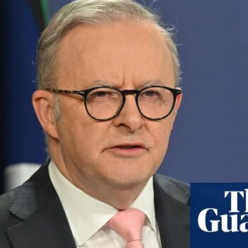 Australia, Canada and New Zealand leaders urge ceasefire in Gaza to end ‘catastrophic’ situation