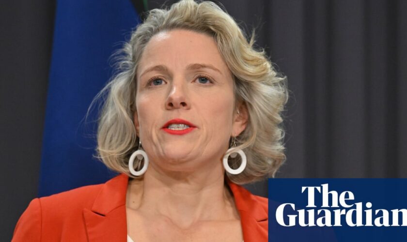 Bad actors seizing on Microsoft IT outage to scam public, Clare O’Neil warns