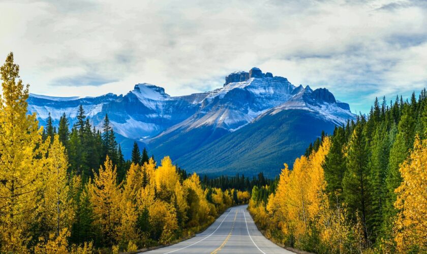 Canada’s popular Jasper National Park ordered to evacuate as fire nears