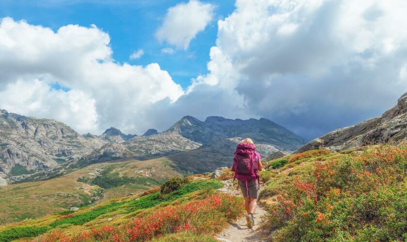 Corse : 236 cas de gastro-entérites en deux semaines sur les chemins du GR20