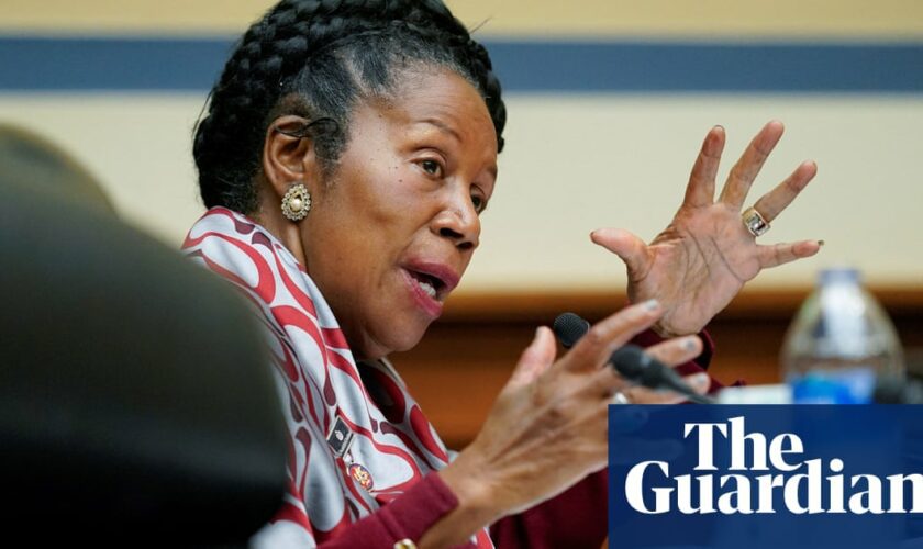 Democratic congresswoman Sheila Jackson Lee dies aged 74, family says