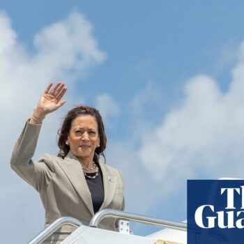 Democrats rush for new strategy as Kamala Harris emerges as favorite