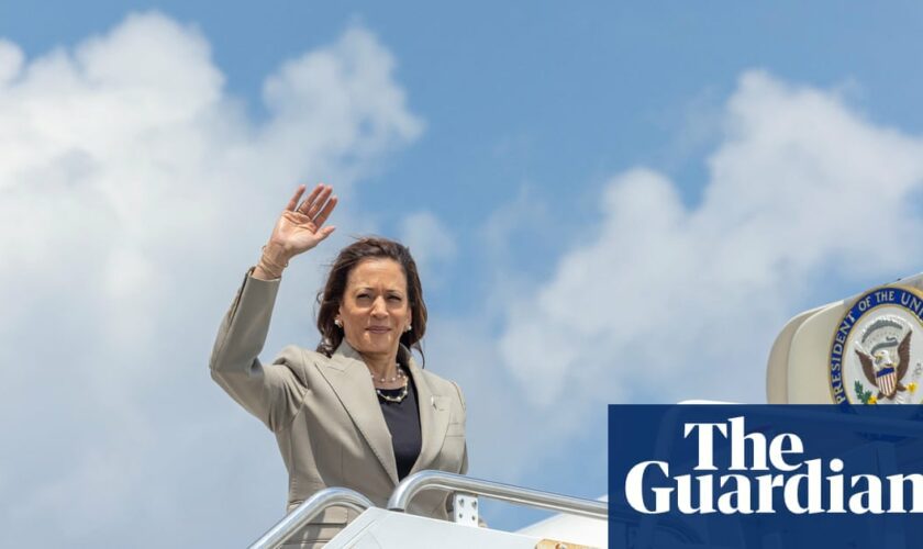 Democrats rush for new strategy as Kamala Harris emerges as favorite