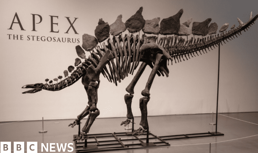 Dinosaur skeleton fetches record $44.6m at auction