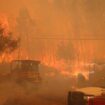 Dix images du « Park Fire » qui ravage la Californie