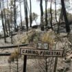 El Gobierno de Castilla-La Mancha recuerda a las 11 víctimas del incendio de Guadalajara y sus familias