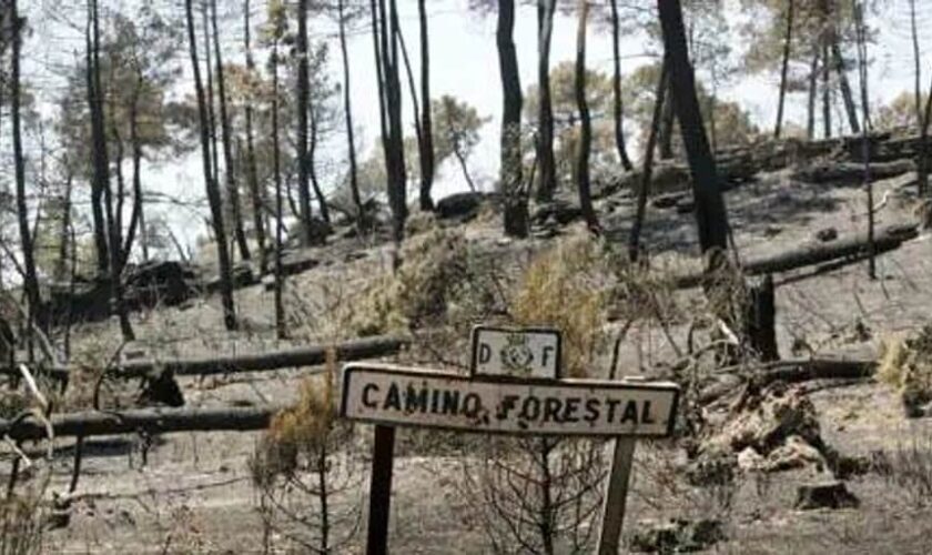 El Gobierno de Castilla-La Mancha recuerda a las 11 víctimas del incendio de Guadalajara y sus familias