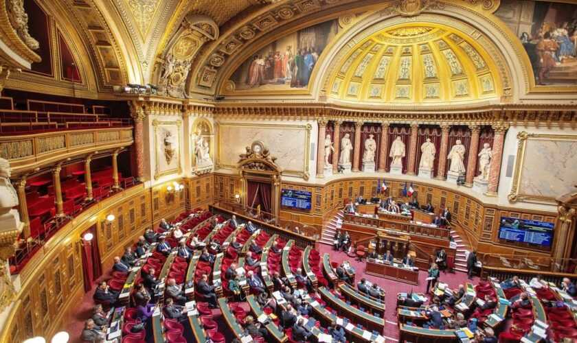 Face à une Assemblée sans majorité, le Sénat veut peser sur la rentrée politique