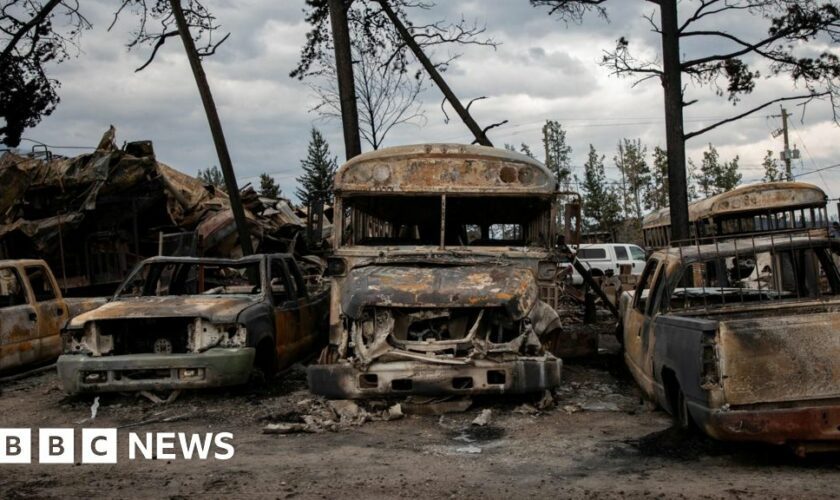 First images of Jasper after 100m high wildfire hit