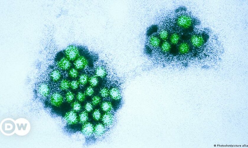 Highly contagious norovirus stomach bug hits Italian village