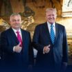 Hungary's Orban meets Trump on 'peace mission'