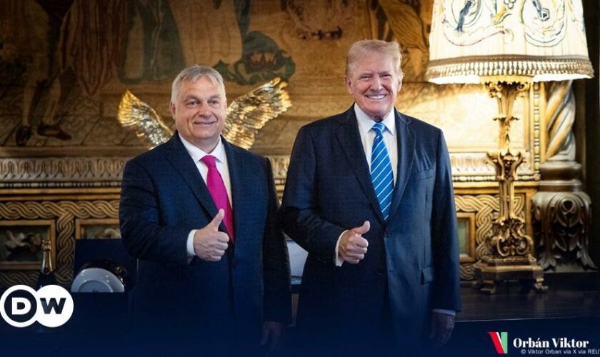 Hungary's Orban meets Trump on 'peace mission'