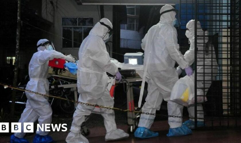 India alert after boy dies from Nipah virus in Kerala