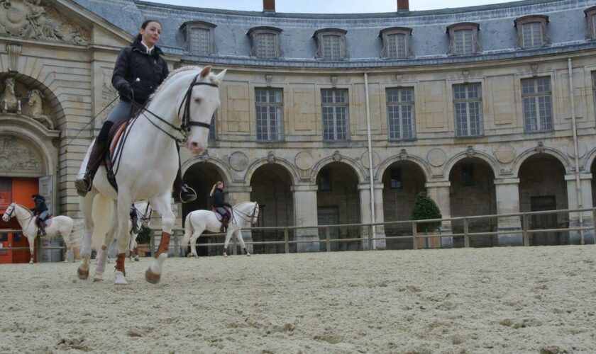 JO Paris 2024 : avec les épreuves équestres, le château de Versailles renoue avec une longue tradition