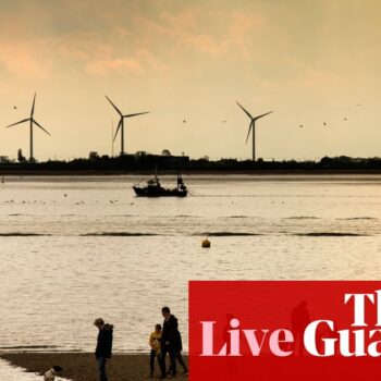 Labour defends Great British Energy plan amid concern over funding – UK politics live