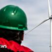 Labour to use royal land to boost wind energy