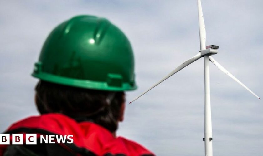 Labour to use royal land to boost wind energy