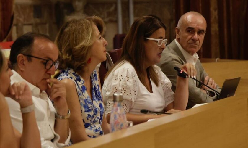 Las dos caras del PSOE en el Pleno de Sevilla: enfanga el debate pero sostiene al gobierno