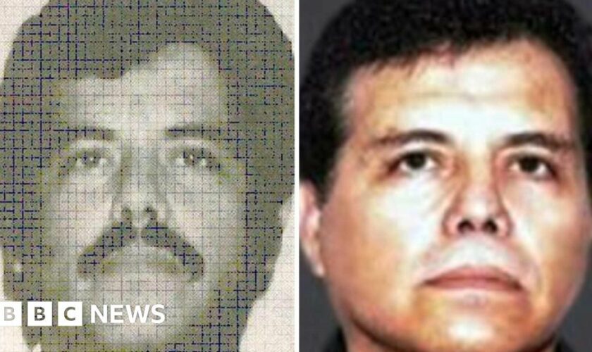 Leader of Mexico's Sinaloa drug cartel held in US