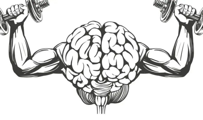 Los abuelos trasmiten los beneficios del ejercicio físico en el cerebro a sus nietos