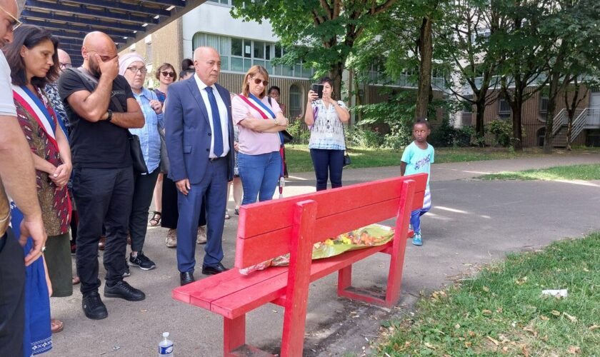 « Ma mère venait de déposer plainte » : les larmes et la colère du fils de Romdhana, tuée à Bobigny