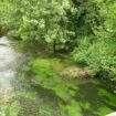 Malgré la pluie, le préfet de l’Eure appelle à surveiller sa consommation d’eau