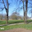 Man stabbed to death and two hurt in park fight