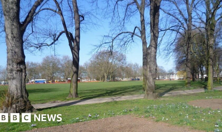 Man stabbed to death and two hurt in park fight